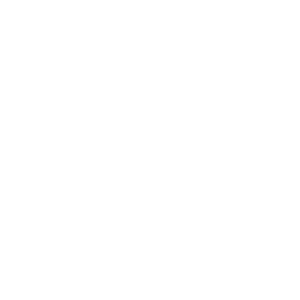 Senior Director of the Office of Student Services