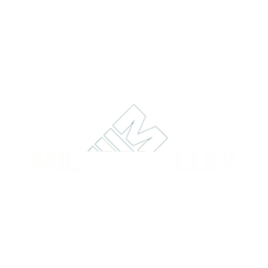 Chief Academic Officer